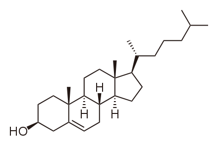 colesterol